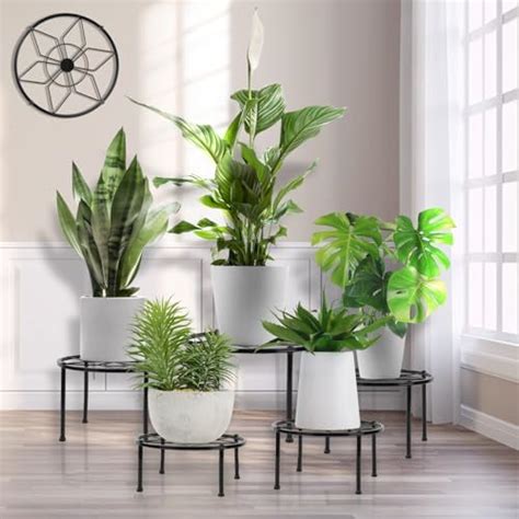 Yocompme Paquete De Soportes Met Licos Para Plantas Soporte Para