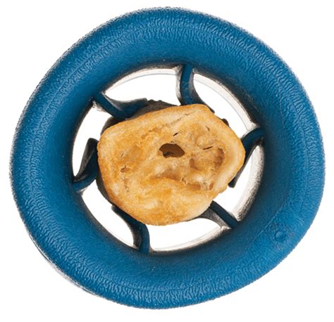 West Paw Fact Sheet - PETSPLUSMAG.COM