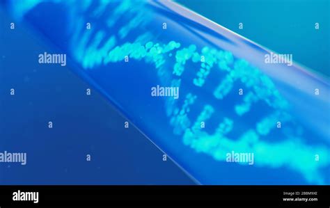 Mol Cula De Adn Su Estructura Concepto Genoma Humano Mol Cula De Adn