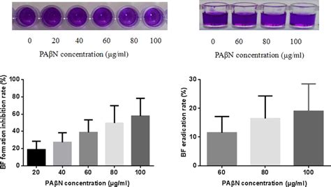 The Effect Of Efflux Pump Inhibitor Pa N On Acinetobacter Baumannii