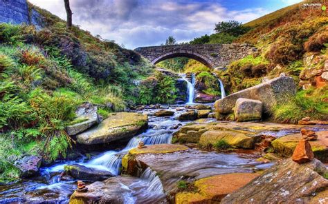 Waterfall Bush Brook Stones Bridge For Phone Wallpapers X