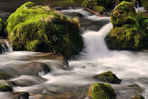 Fondos De Pantalla Naturaleza Corriente De Agua Cascada Cuerpo De