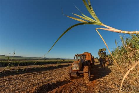 Resíduos da cana de açúcar geram o biogás que vira energia elétrica e