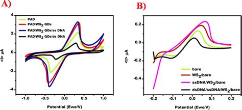 A Comparative Cyclic Voltammograms At Bare Electrodes Ws Modified