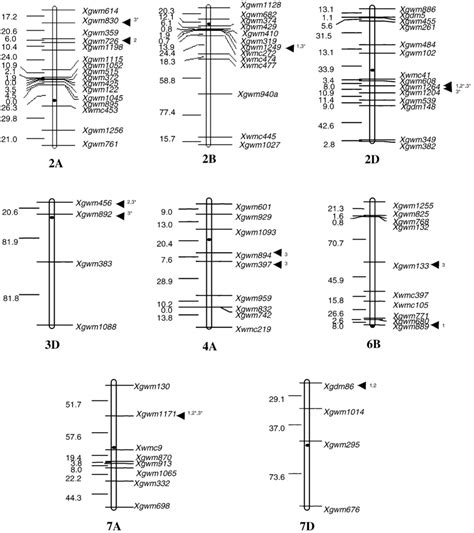 Map Location Of Putative Qtls For Gpc Detected In This Study Short