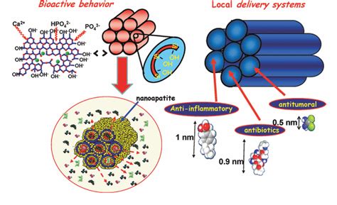 Figure 1 From A Guided Walk Through The World Of Mesoporous Bioactive Glasses Mbgs