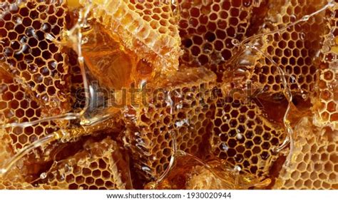 Realistic Bee Wax Combs Splashing Liquid Stock Photo