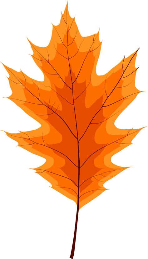 Autumn Orange Fallen Leaves 11380623 PNG