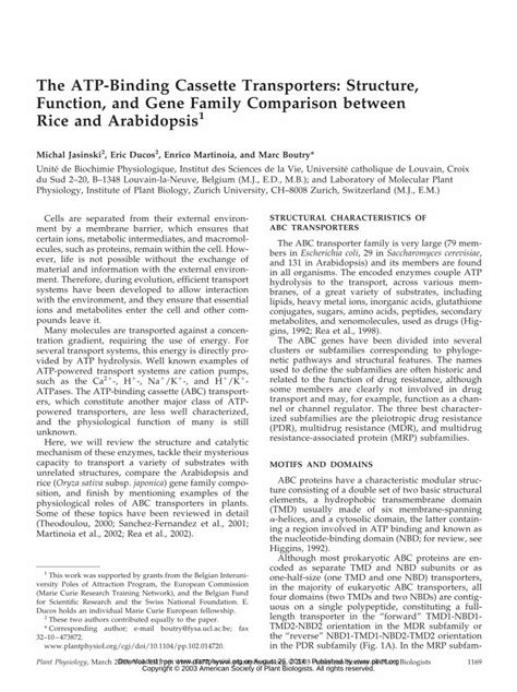 Pdf The Atp Binding Cassette Transporters Structure Function And