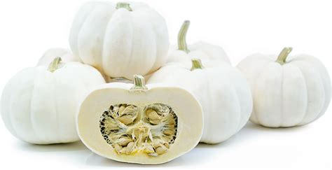 Mini White Pumpkins Information and Facts