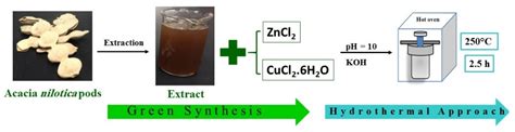 Acacia Nilotica Pods Extract Assisted Hydrothermal Synthesis And