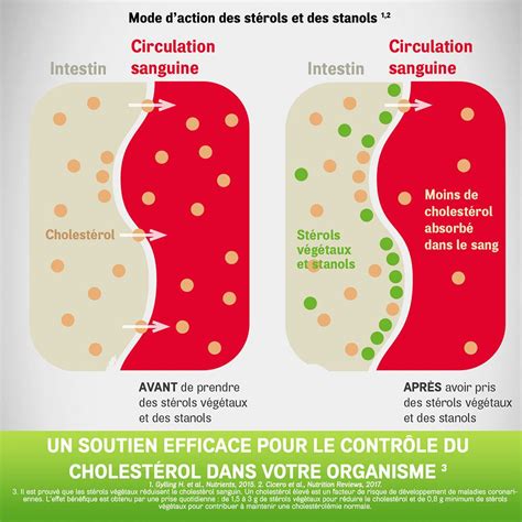 Arterin Cholestérol Complément Alimentaire à base de Plantes 90