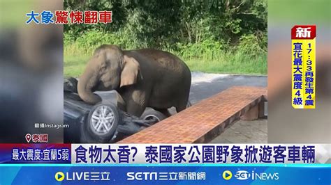 大象溜出國家公園 竟掀翻轎車嚇壞遊客 遊客太多打擾生活 大象保育問題引關注 食物太香 泰國家公園野象掀遊客車輛│記者 陳采蔚│【全球關鍵字