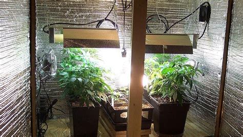 Weed Grow Room - How to Build Your Cannabis Indoor Grow Room | Fast Buds