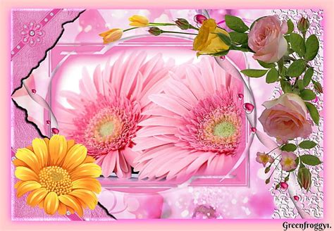 Pretty Pink Gerberas Pretty Gerbera Flowers Pink Hd Wallpaper Peakpx