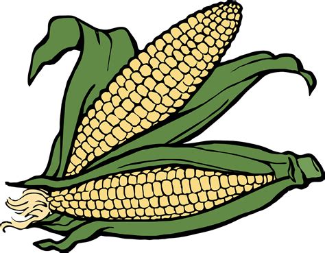 Mastering The Art Of Perfect Corn On Cob Clip Transpreant Clip Art Library