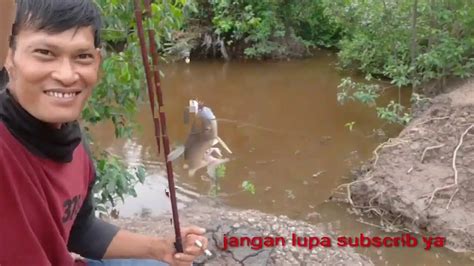 Mancing Ikan Lundu Strike Bertubi Tubi YouTube