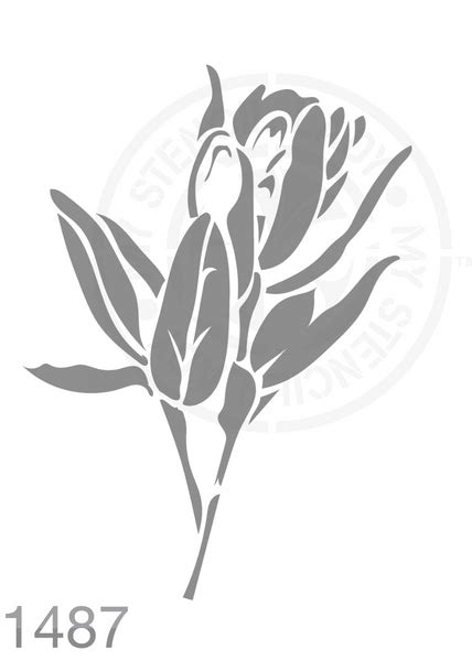 My Stencil Lady Proteas Protea Flowers Stencils