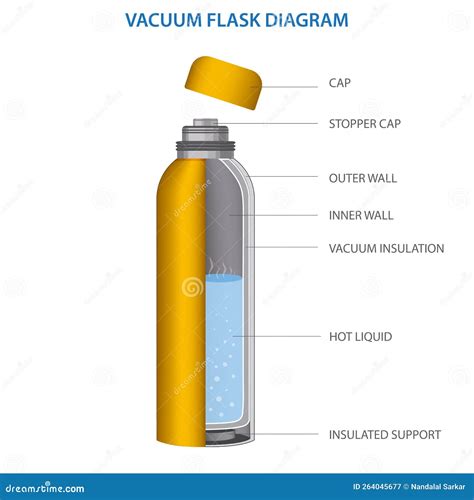 Dewar Or Vacuum Flask Labelled Diagram Cartoon Vector Cartoondealer