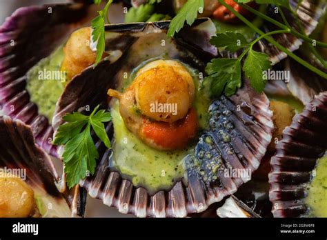 Grilled Scallops In Green Sauce Stock Photo Alamy