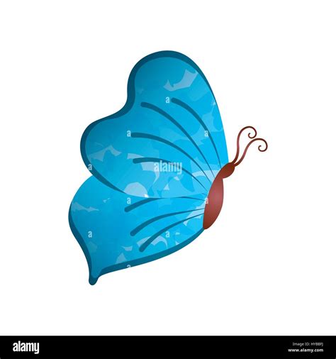 blue butterfly icon Stock Vector Image & Art - Alamy