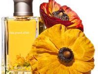 Top 10 Pleasant smell perfumes | perfume, fragrance, perfume bottles