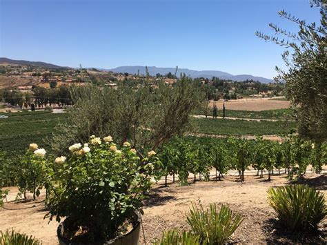 8 Best Wineries In Temecula You Need To Visit Trekbible 2022