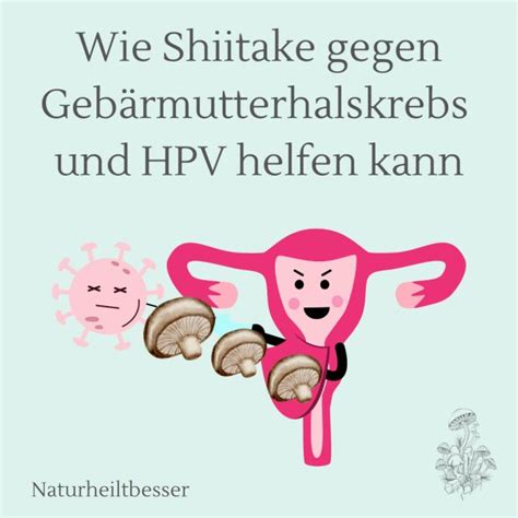 Wie Shiitake Gegen Geb Rmutterhalskrebs Und Hpv Helfen Kann