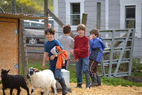 Happy Hens Farm: Live Oak School Farm Visit