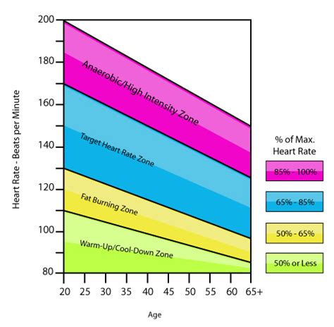 Getting Fit: Heart Rate Training Zones