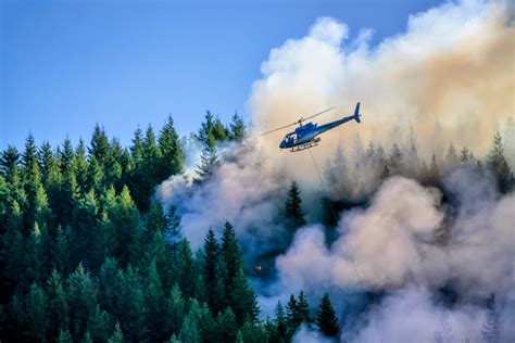 Canadian fires have released a billion tons of carbon dioxide - Earth.com