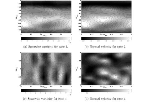 Instantaneous Field Of Spanwise Vorticity And Normal Velocity At The