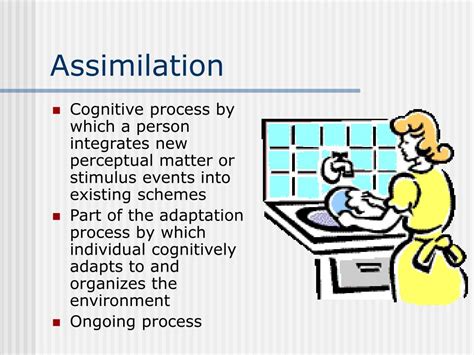 Ppt Jean Piaget Powerpoint Presentation Free Download Id 1344538