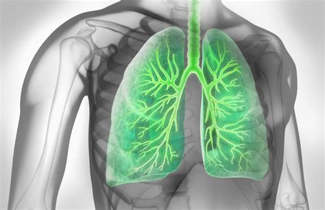 Results of Dupilumab in Uncontrolled Asthma Highlighted at ERS