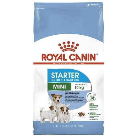 Royal Canin Mini Starter M B Kg Petessentials