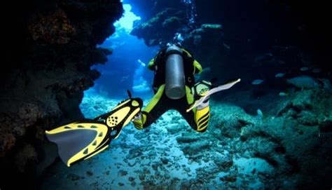 Scuba Spearfishing Tips & Gear (According to an Expert) - Cast and Spear