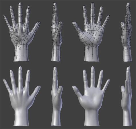 Hand Topology/Proportions - Focused Critiques - Blender Artists Community