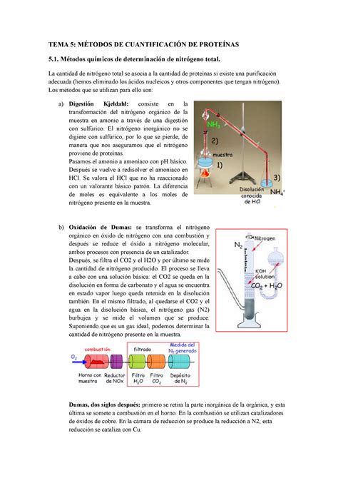 Tema Metodo De Cuantificacion De Proteinas Tema M Todos De