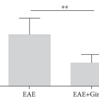 Treatment With Ginsenoside Rd Ameliorated The Clinical Severity Of