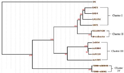 Phylogenetic Tree With Bootstrap Values Tree Constructed Using Download Scientific Diagram