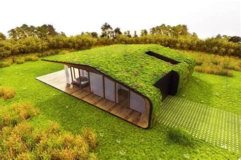 20 Amazing Homes With Grass Roof Designs