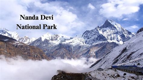 Most Beautiful Images In Nanda Devi National Park Uttarakhand India