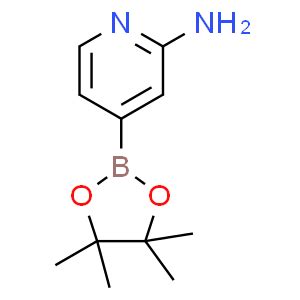 Amino Pyridine Boronic Acid Pinacol Ester Cas J W