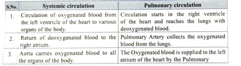 Tamil Solution Differntiate Between Systemic Circulationn And Pu