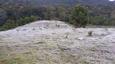 White Frost Replaces Green Grasslands in Tamil Nadu’s Nilgiris as ...