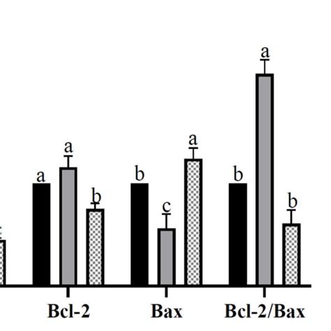 Figure E Eeects Of Diierential Energy Treatment On The Morphological