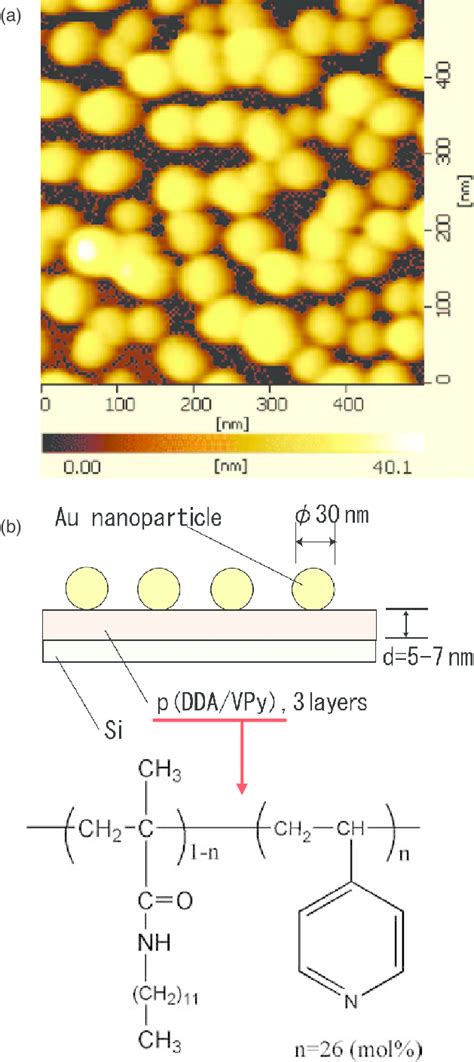 A Afm Topograph Of The Au Nanoparticle Array Using A Mp Modified