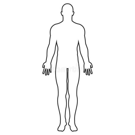 Human Body Outline Stock Illustrations 61098 Human Body Outline Stock Illustrations Vectors