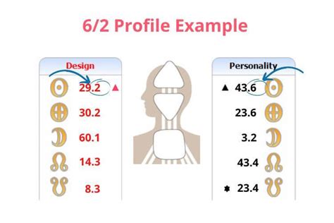 Guide To The Human Design Profile Role Model Hermit