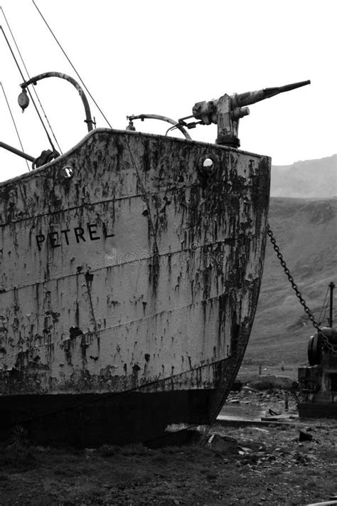 Whaling Ship Petrel Grytviken In South Georgia Stock Photo Image Of